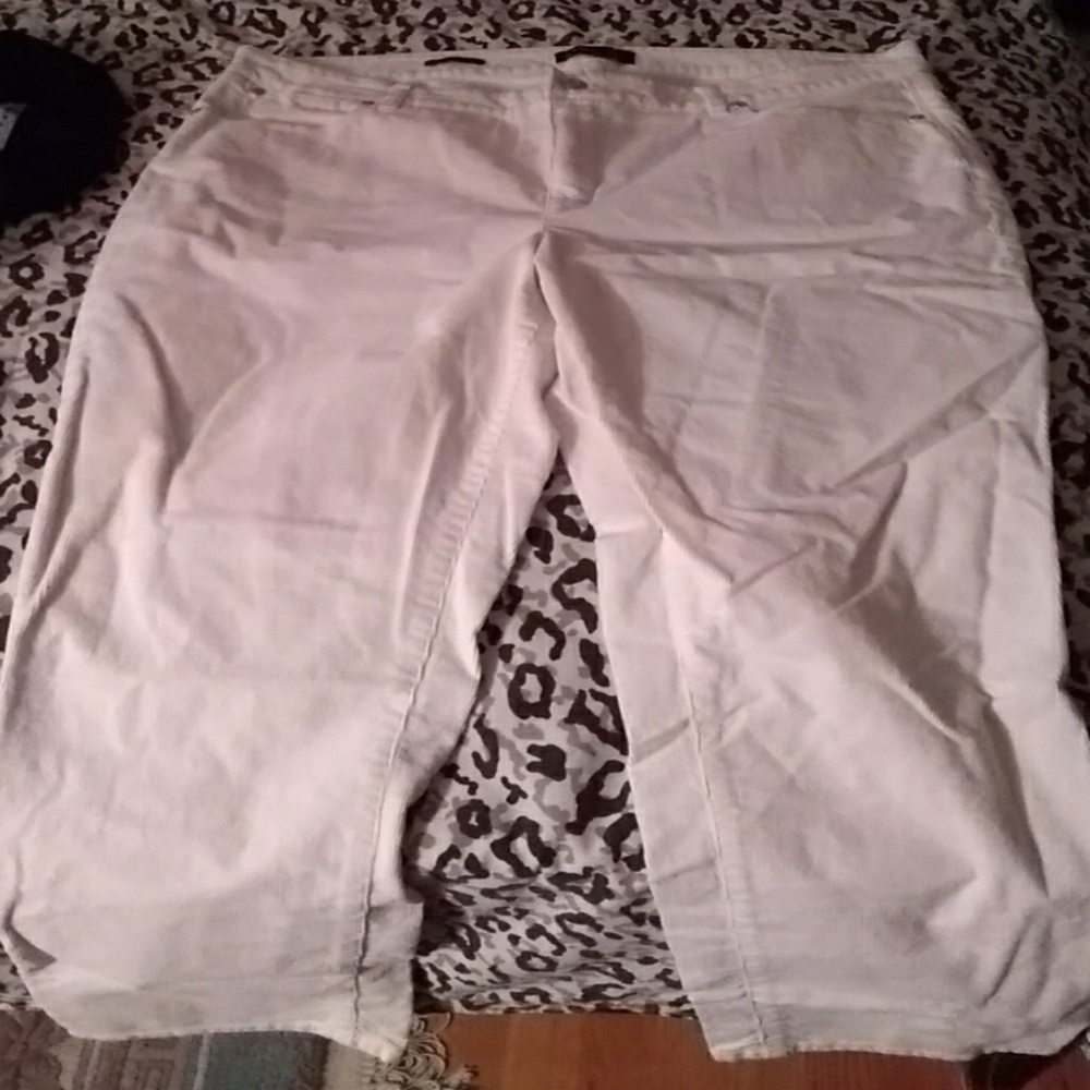 Talbot white 16p straight corduroy pants